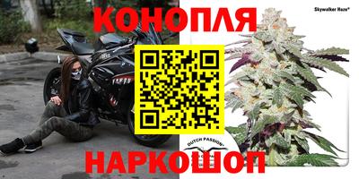 ECSTASY Канаш