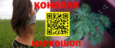 прущие крисы Камышлов