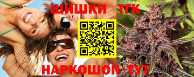 прущие крисы Камышлов