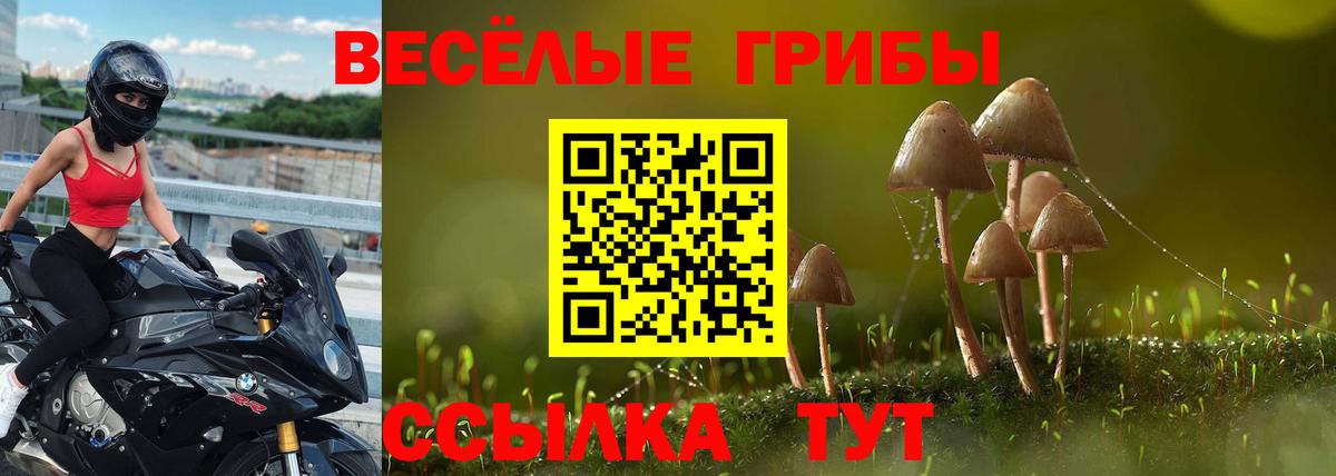 Галлюциногенные грибы MAGIC MUSHROOMS Чусовой